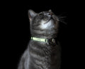 Rogz Glow In the Dark Cat Safety Collar